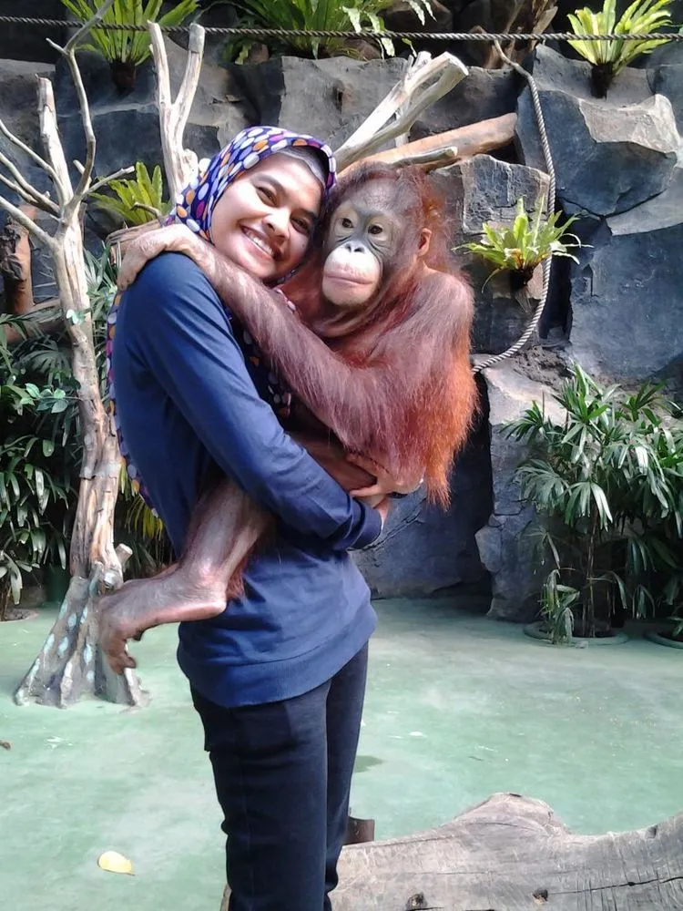 Yuk, Kenalan Sama Orang Utan Paling Terkenal di Indonesia! 23