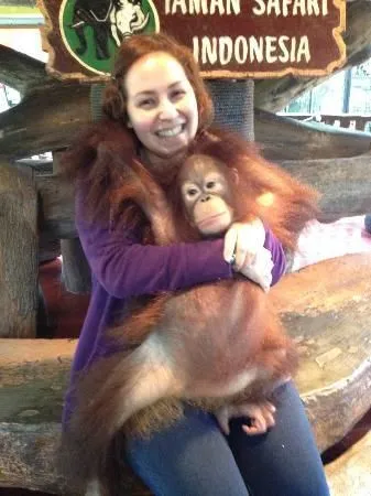 Yuk, Kenalan Sama Orang Utan Paling Terkenal di Indonesia! 14