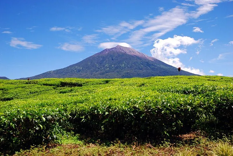 20 Tempat di Indonesia yang Layak Kamu Daki 105