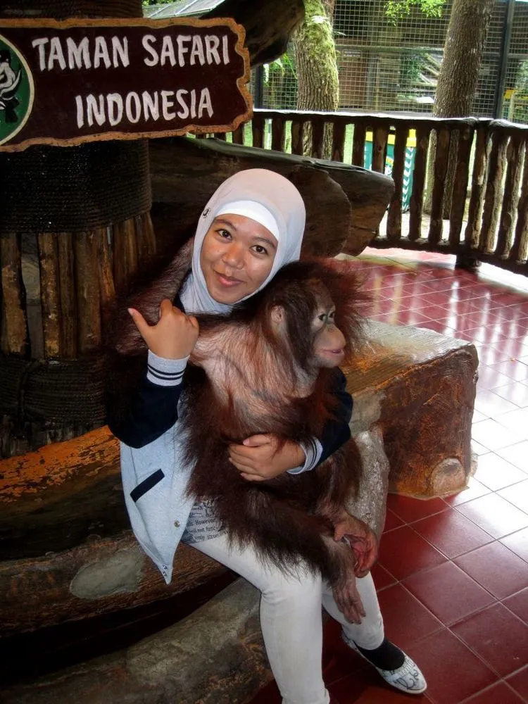 Yuk, Kenalan Sama Orang Utan Paling Terkenal di Indonesia! 17