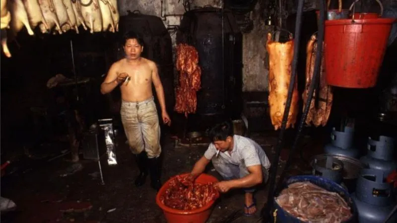 Kowloon HongKong, Kota Terpadat di Dunia, Semrawutnya Ngalahin Jakarta 13