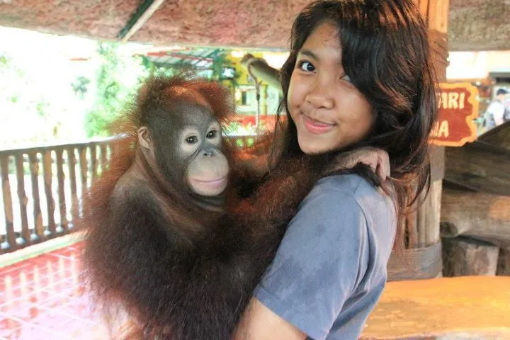 Yuk, Kenalan Sama Orang Utan Paling Terkenal di Indonesia! 21