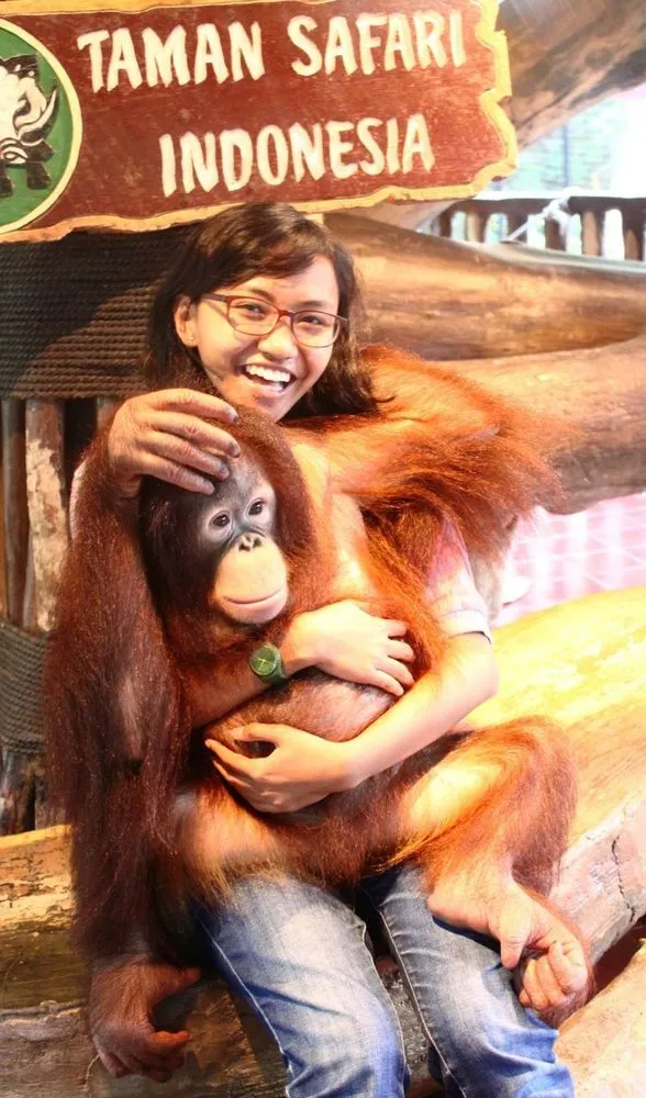 Yuk, Kenalan Sama Orang Utan Paling Terkenal di Indonesia! 22