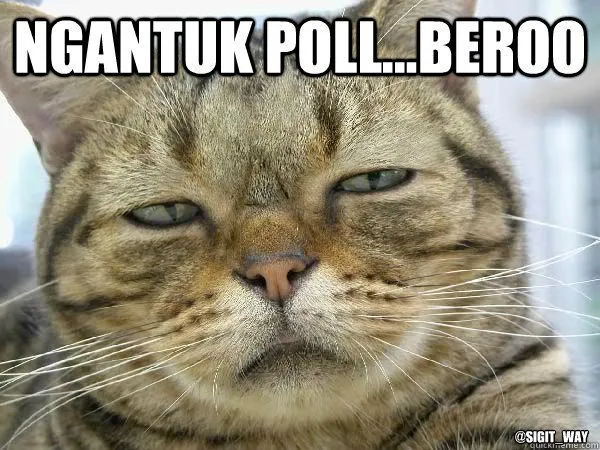11 Alasan Kenapa Buku Adalah Kencan Terbaik Di Malam Minggu 18