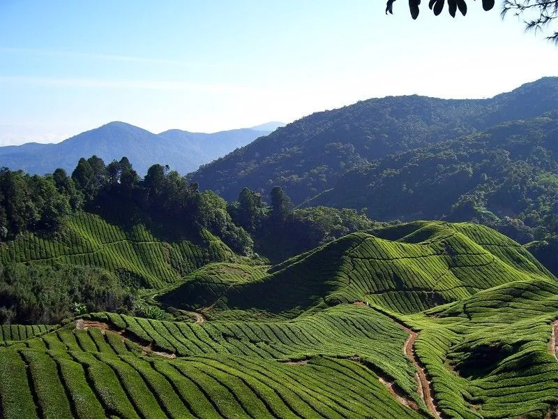 24 Tempat Wisata di Asia Tenggara yang Wajib Dikunjungi 30