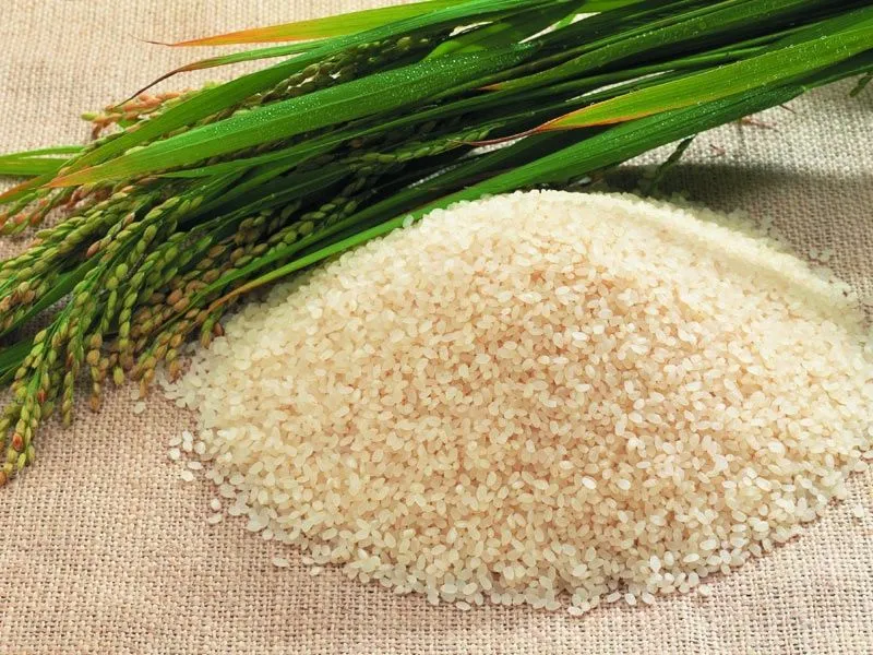 7 Info Salah Kaprah Tentang Makanan, Mana Yang Benar? 22