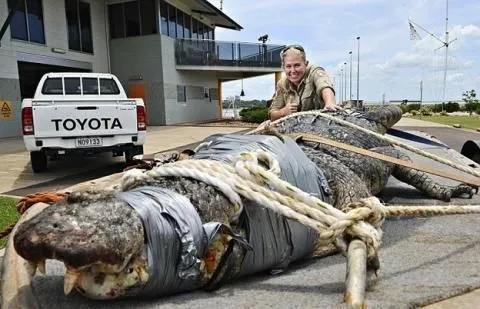 38 Hal Gila Yang Akan Kamu Temui di Australia 52