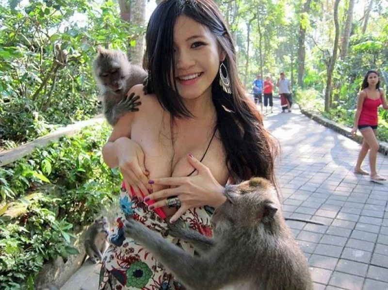 Tingkah Monyet Liar Ubud yang Bikin Cowok-Cowok Iri 15