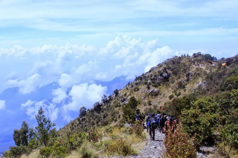 20 Tempat di Indonesia yang Layak Kamu Daki 93