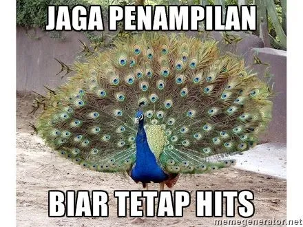 Tips Cinta Dari Para Hewan 22