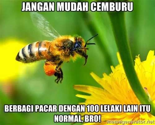 Tips Cinta Dari Para Hewan 15