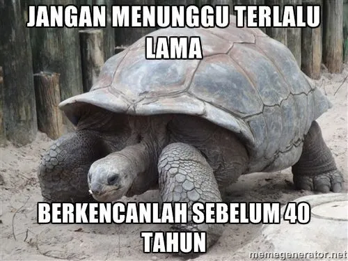 Tips Cinta Dari Para Hewan 17