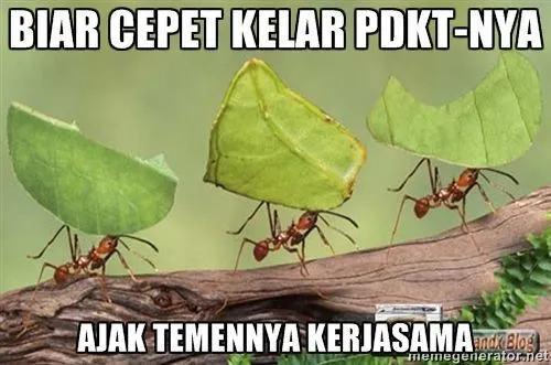 Tips Cinta Dari Para Hewan 20