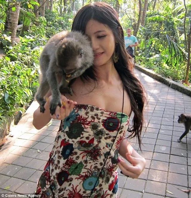 Tingkah Monyet Liar Ubud yang Bikin Cowok-Cowok Iri 12