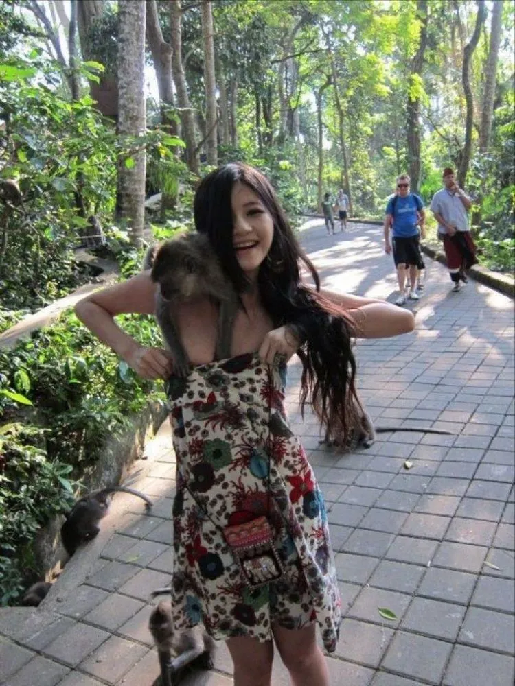 Tingkah Monyet Liar Ubud yang Bikin Cowok-Cowok Iri 14