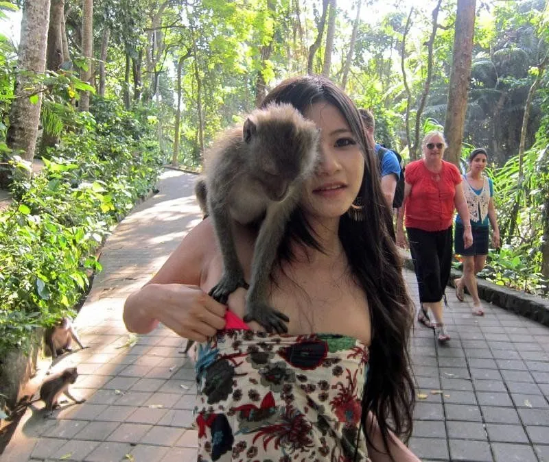 Tingkah Monyet Liar Ubud yang Bikin Cowok-Cowok Iri 13