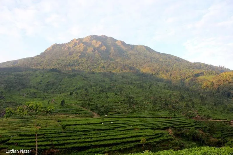 20 Tempat di Indonesia yang Layak Kamu Daki 85