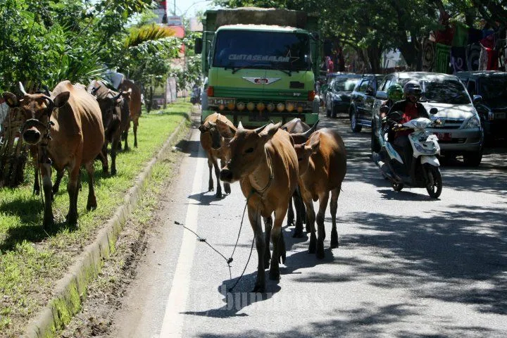 15 Bandara Paling Mendebarkan Di Dunia 53