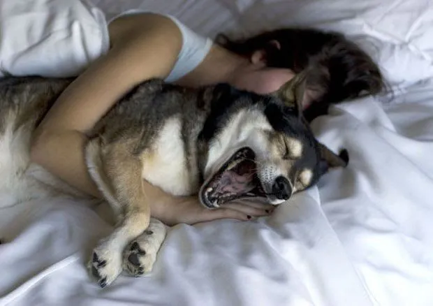Sssst...Kamu Bisa Bawa yang Lain Ke Tempat Tidur Tanpa Harus Selingkuh 43