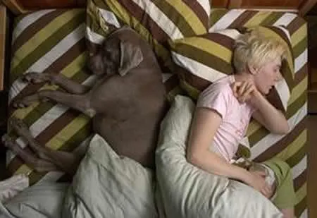 Sssst...Kamu Bisa Bawa yang Lain Ke Tempat Tidur Tanpa Harus Selingkuh 46