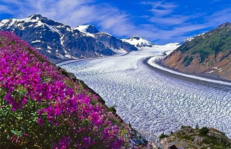Daftar Negara-Negara Dengan Garis Pantai Terpanjang di Dunia 20