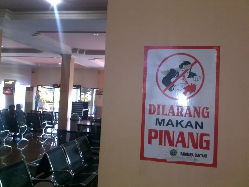15 Bandara Paling Mendebarkan Di Dunia 56