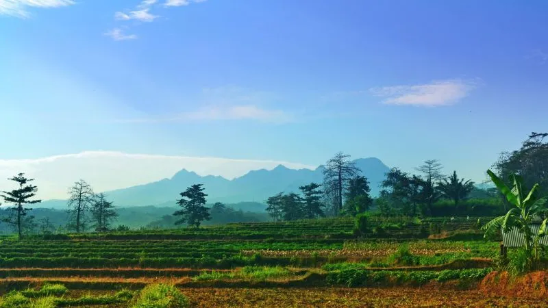 Amazing Indonesia Portraits: Lihat dan Kagumi Negerimu Sendiri! 45