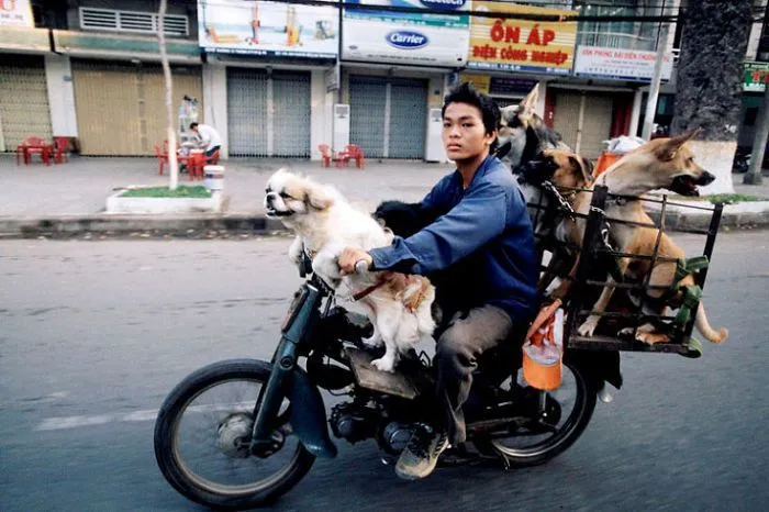 Kocak! Kompilasi Foto Sepeda Motor Kelebihan Muatan 29