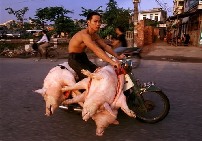 Kocak! Kompilasi Foto Sepeda Motor Kelebihan Muatan 30