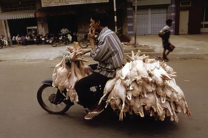 Kocak! Kompilasi Foto Sepeda Motor Kelebihan Muatan 28