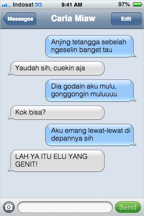 21 Kejadian Kocak Kalau Kucing Bisa SMS-an Sama Kamu 26