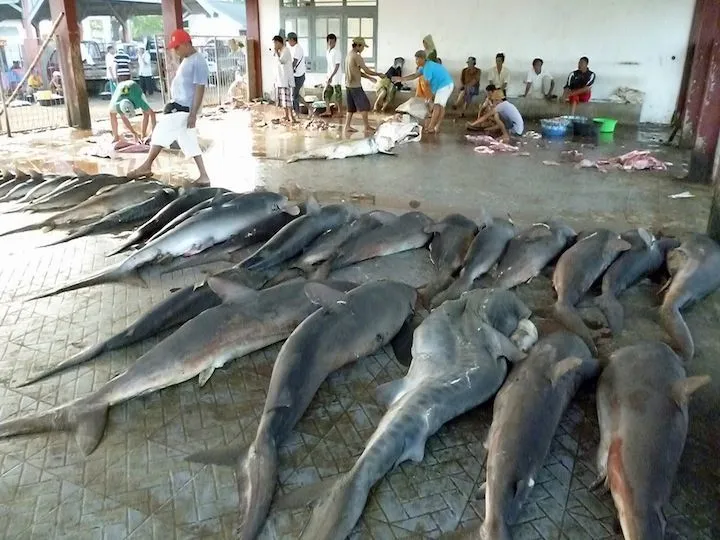 Bagi Mereka, Kesuksesan Tidak Selalu Berarti Gundukan Uang 23