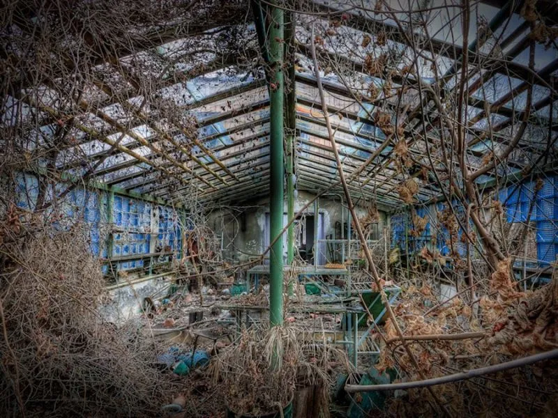 Menilik Chernobyl: 28 Tahun Setelah Tragedi 41