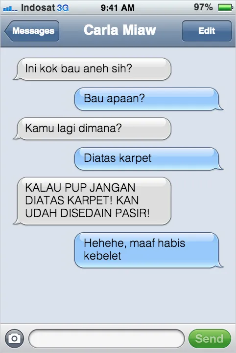 21 Kejadian Kocak Kalau Kucing Bisa SMS-an Sama Kamu 29