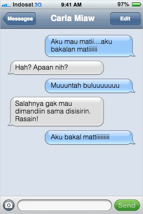 21 Kejadian Kocak Kalau Kucing Bisa SMS-an Sama Kamu 39