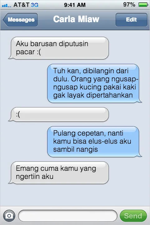 21 Kejadian Kocak Kalau Kucing Bisa SMS-an Sama Kamu 41
