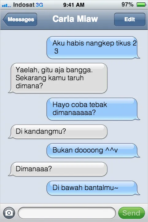 21 Kejadian Kocak Kalau Kucing Bisa SMS-an Sama Kamu 24