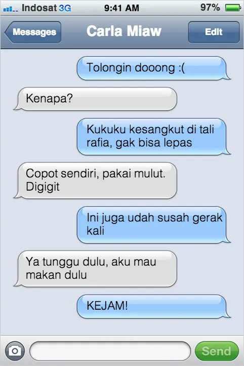 21 Kejadian Kocak Kalau Kucing Bisa SMS-an Sama Kamu 31