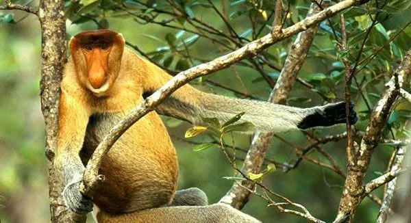 40 Tempat Yang Nggak Bakal Kamu Percaya Ada di bumi 243