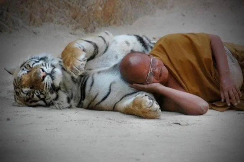 Sssst...Kamu Bisa Bawa yang Lain Ke Tempat Tidur Tanpa Harus Selingkuh 41