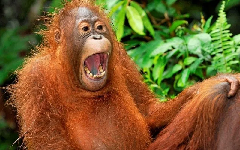 Derita-Derita Hidup yang Mesti Dilalui Tiap Hari oleh Orang Bertubuh Kurus Kerempeng 23