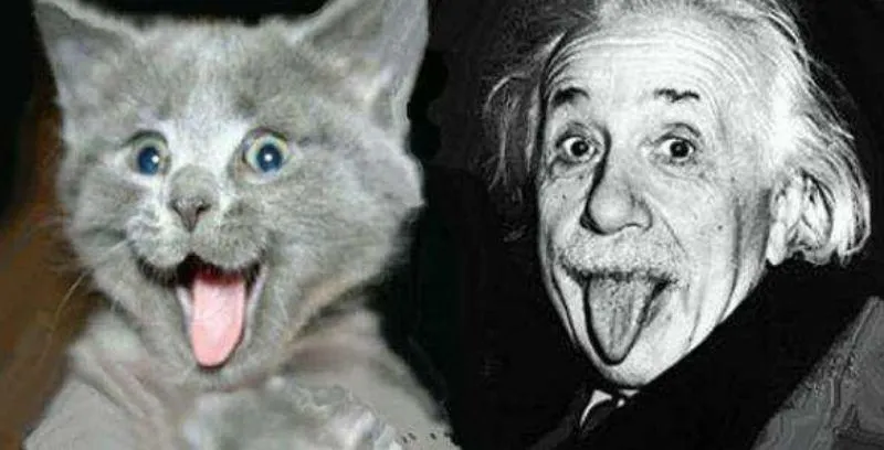 Kalau Soal Cinta, Jangan Tanya Einstein! 12