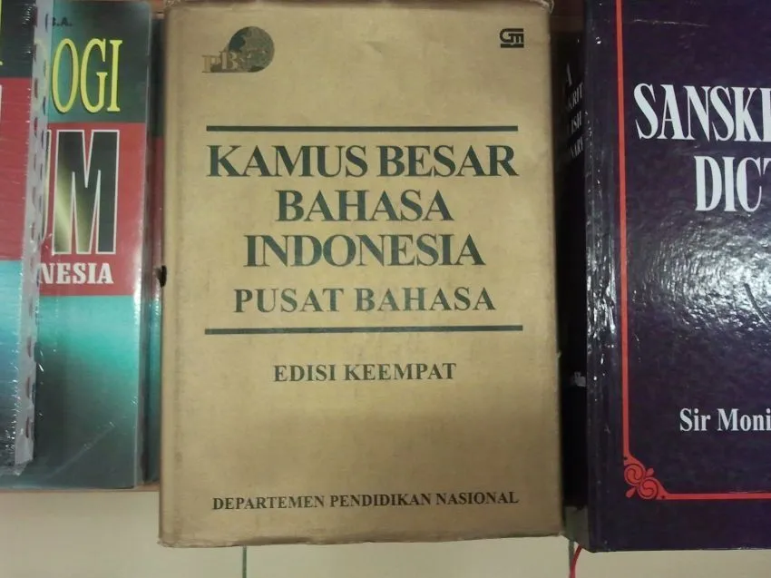 Ini dia enaknya jadi orang Indonesia! 25