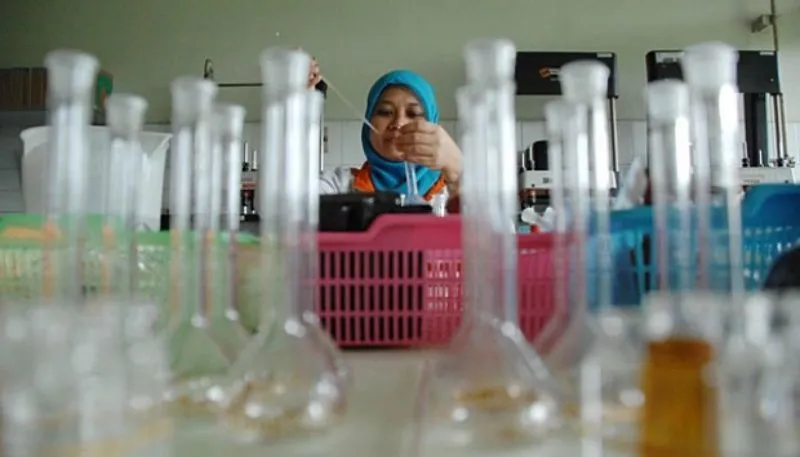 Ini Alasan Kenapa Jurusan Kuliah Tidak Menjamin Masa Depanmu 14