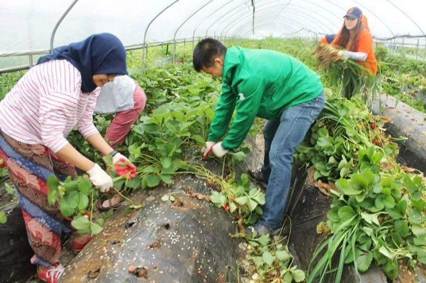 Keliling Dunia Tanpa Harus Bikin Tabungan Jebol? Coba Cara Cerdik Ini Yuk! 13