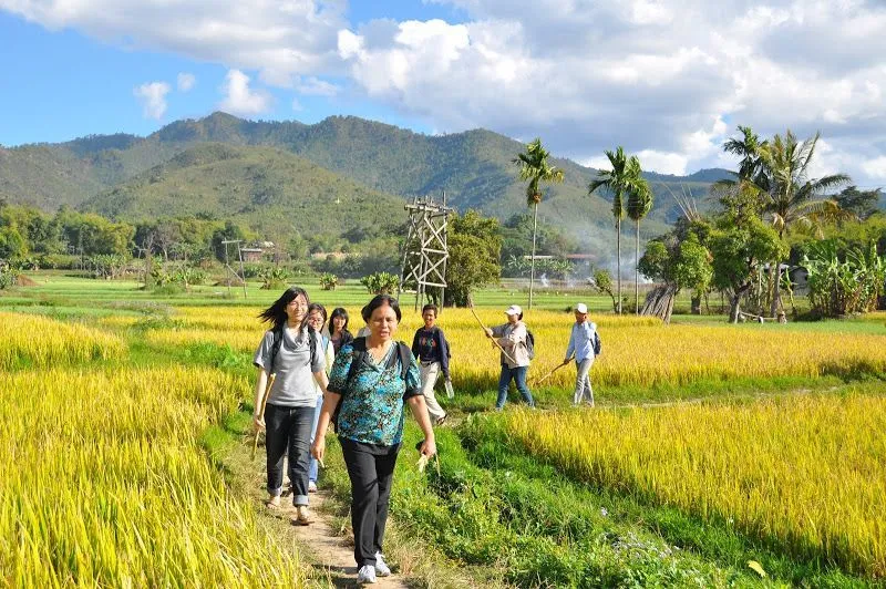 15 Saran yang Asing di Telinga Tapi Berguna Buatmu Para Mahasiswa 18