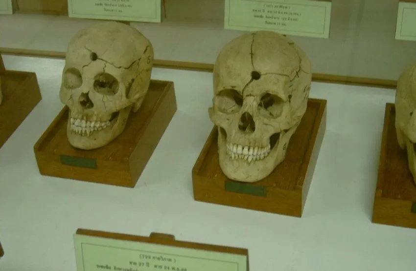 15 Museum Unik di Dunia, Cocok Jadi Destinasi Wisata 29