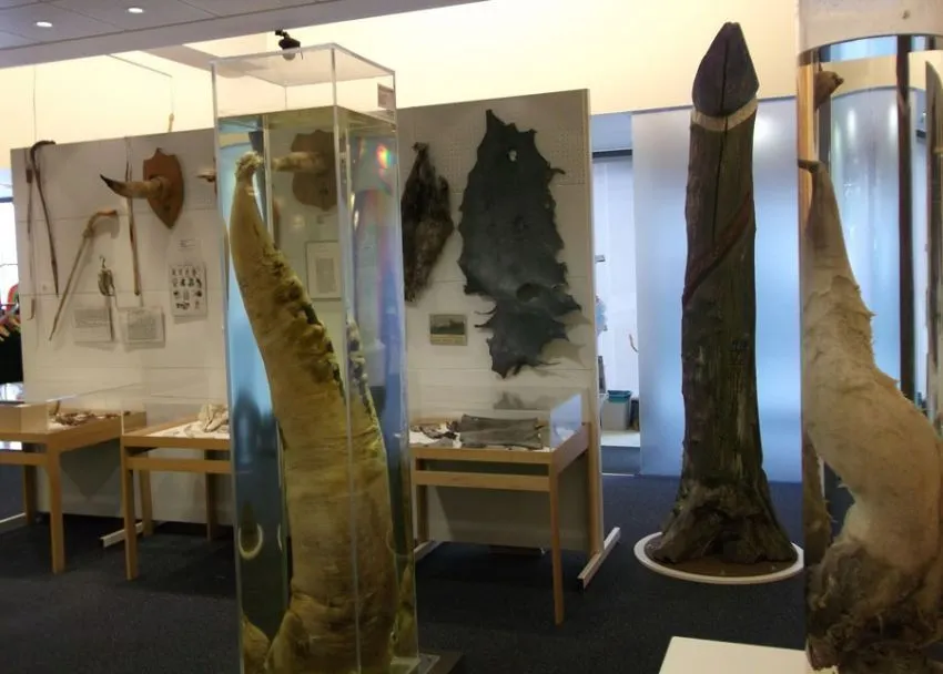 15 Museum Unik di Dunia, Cocok Jadi Destinasi Wisata 21