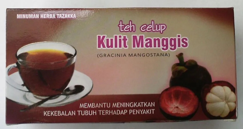 Kabar gembira! Inilah Manfaat Kulit Manggis yang Gak Kamu Ketahui 10