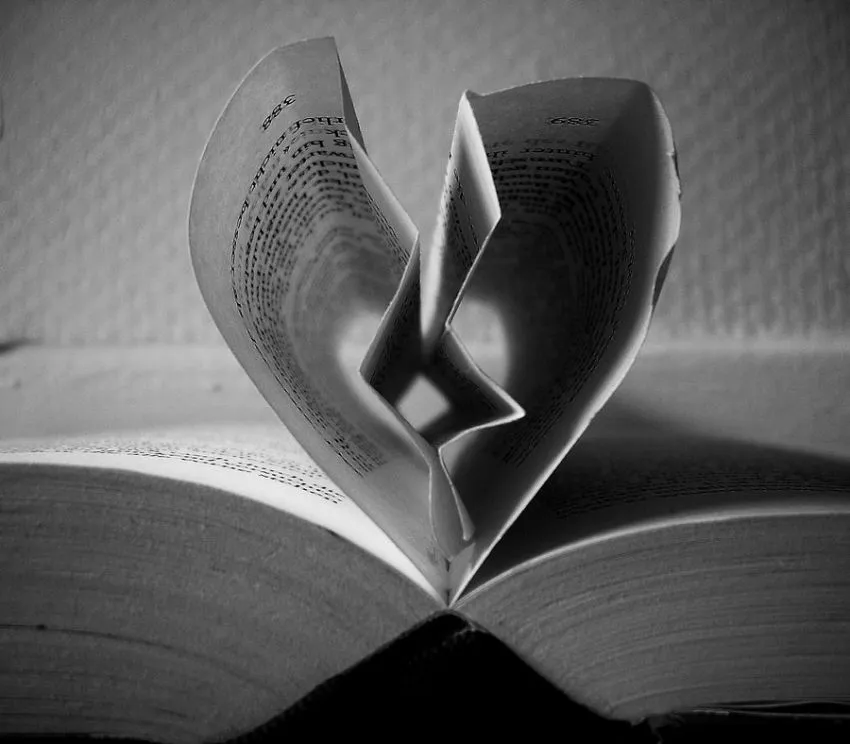 Fakta Unik Tentang Cinta Yang Belum Tentu Kamu Tahu 22